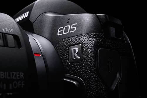 Canon EOS R als Makro Aufnahme