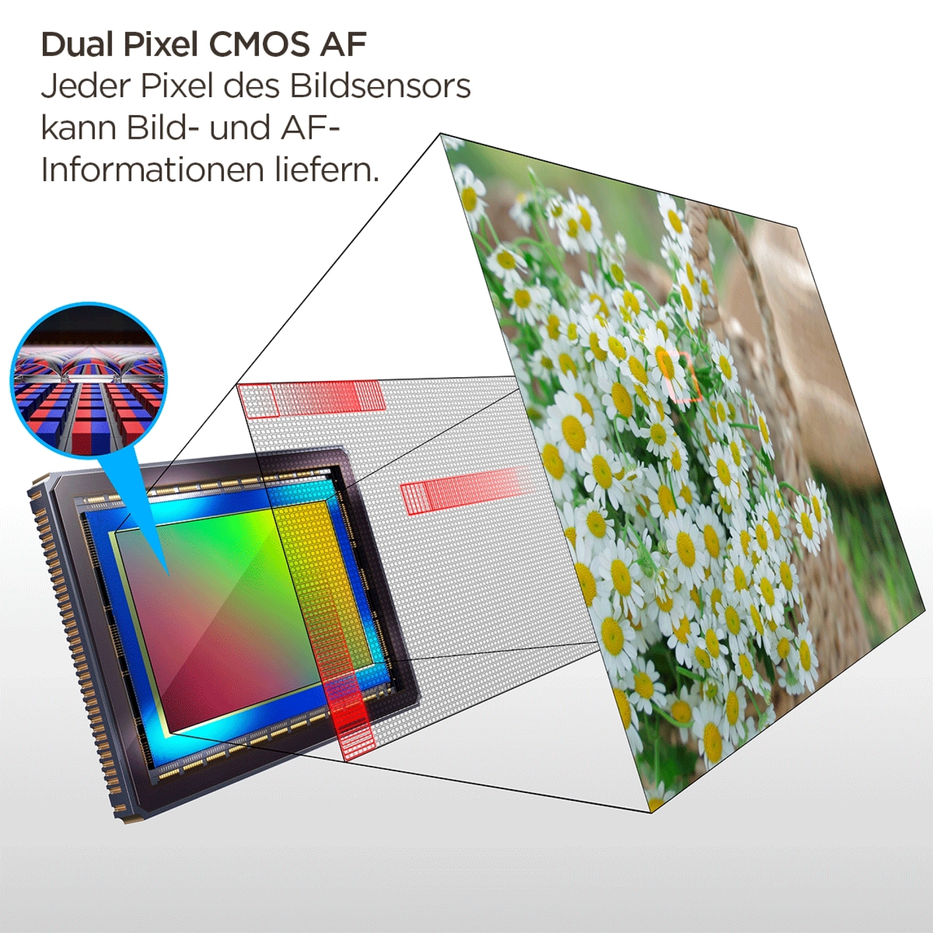 Dual Pixel CMOS AF Technologie, EOS R-System