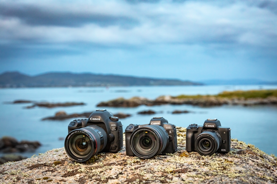 Canon Academy Trainer Freier Trainer - Canon Academy Trainer