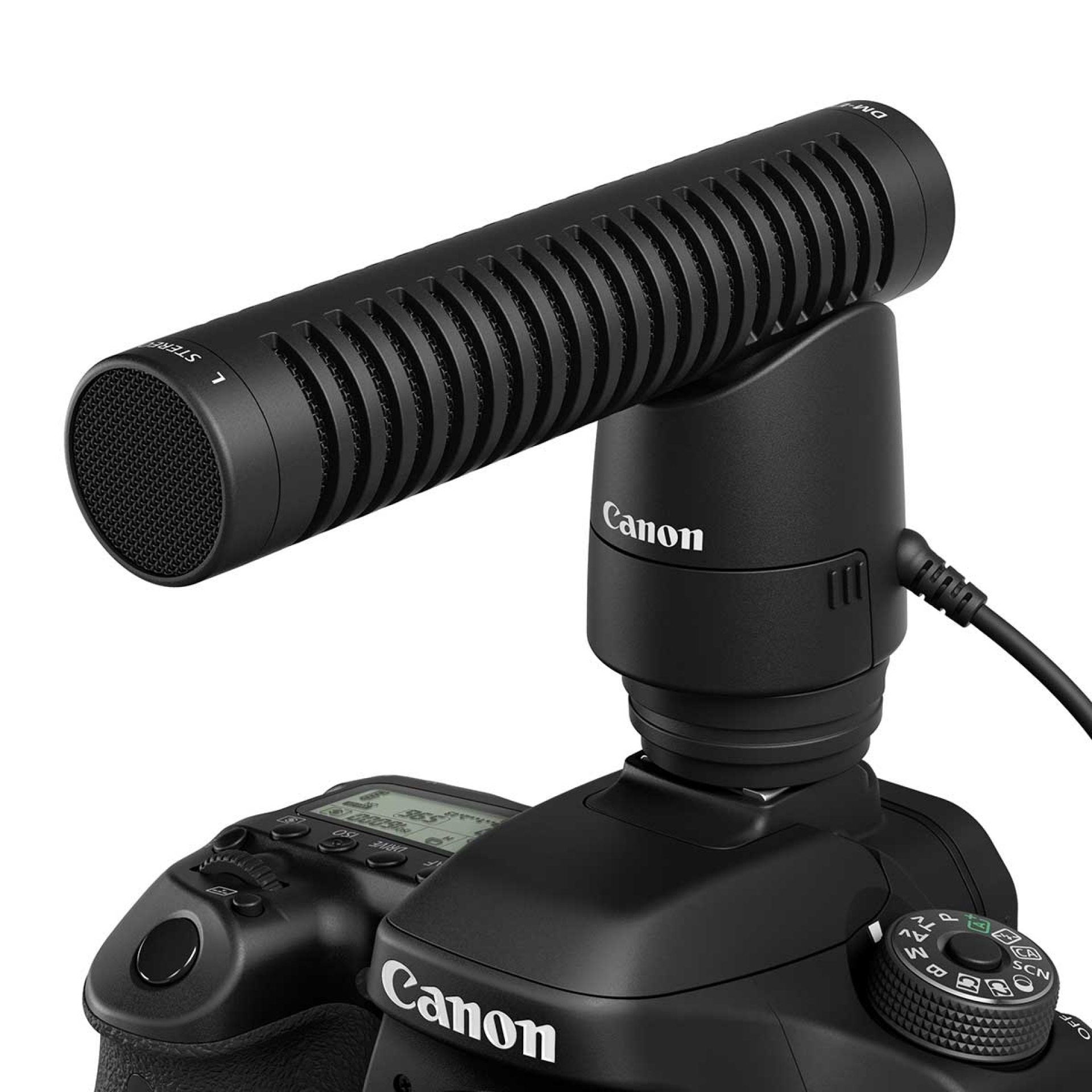 Canon, Filmen mit der EOS, Ton, externes Mikrofon