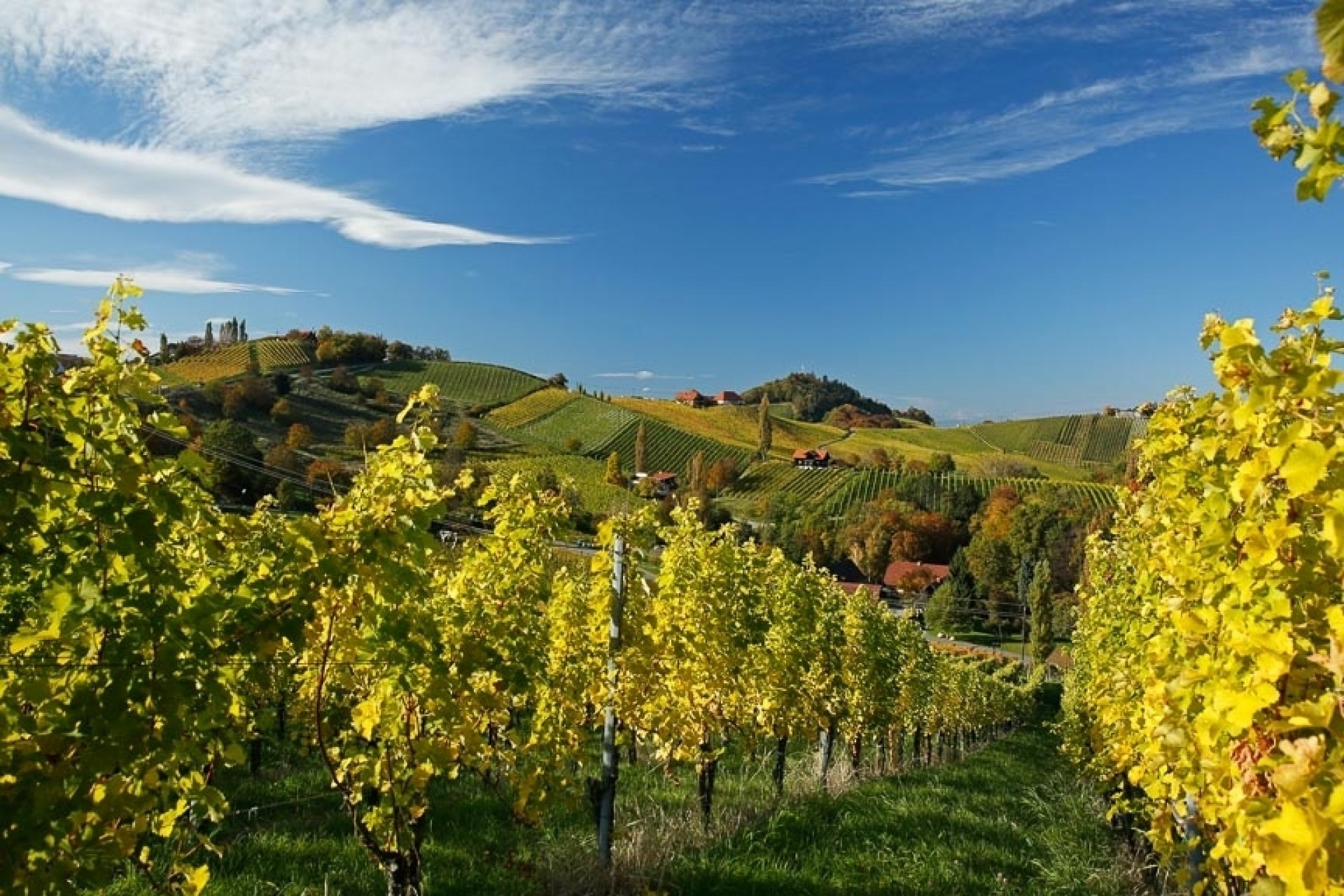 Fotowochenende Südsteirische Weinstraße - Canon Academy Landschaft- und Reise