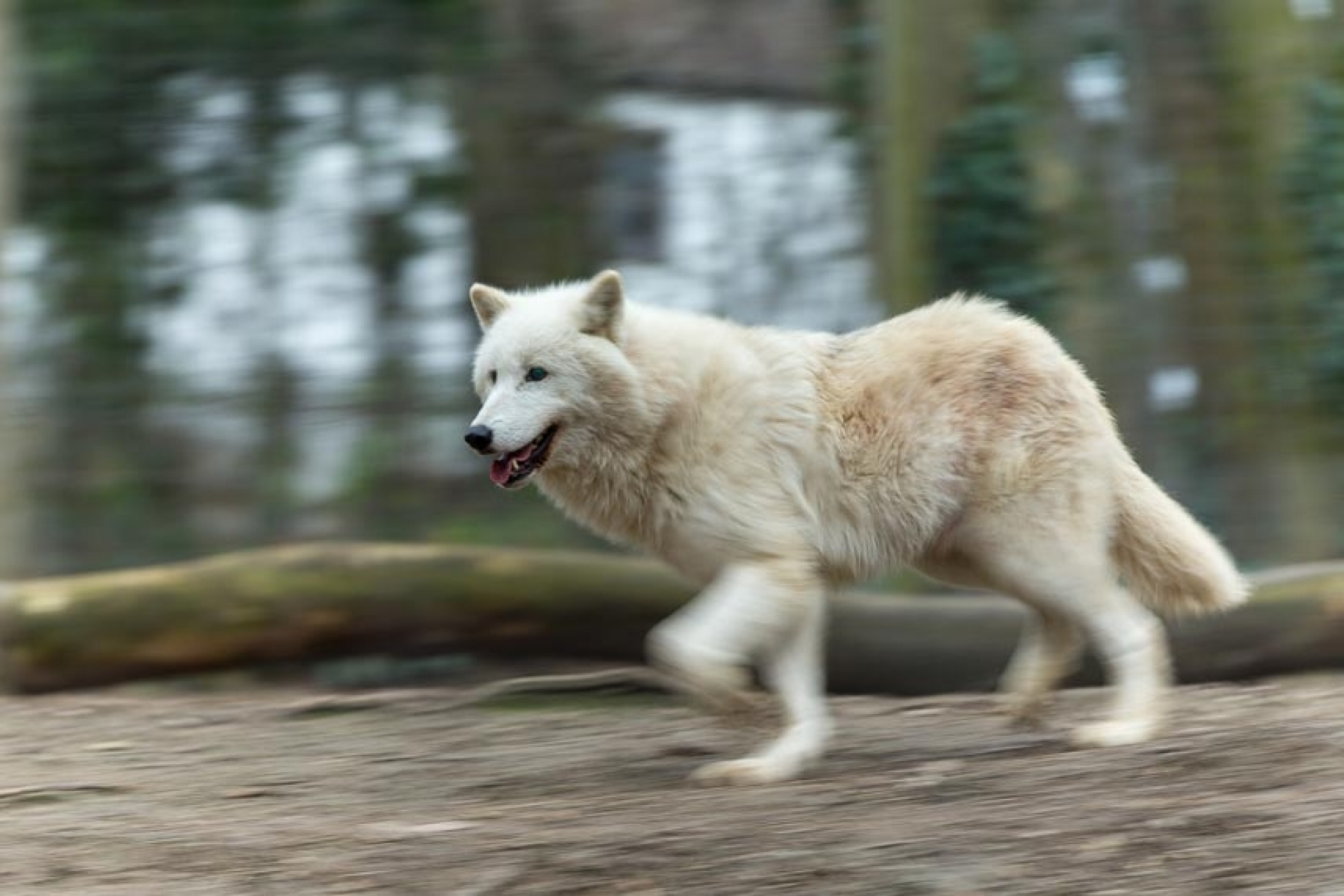 Tierfotografie in Theorie und Praxis - Canon Academy Natur-, Tier- und Makro