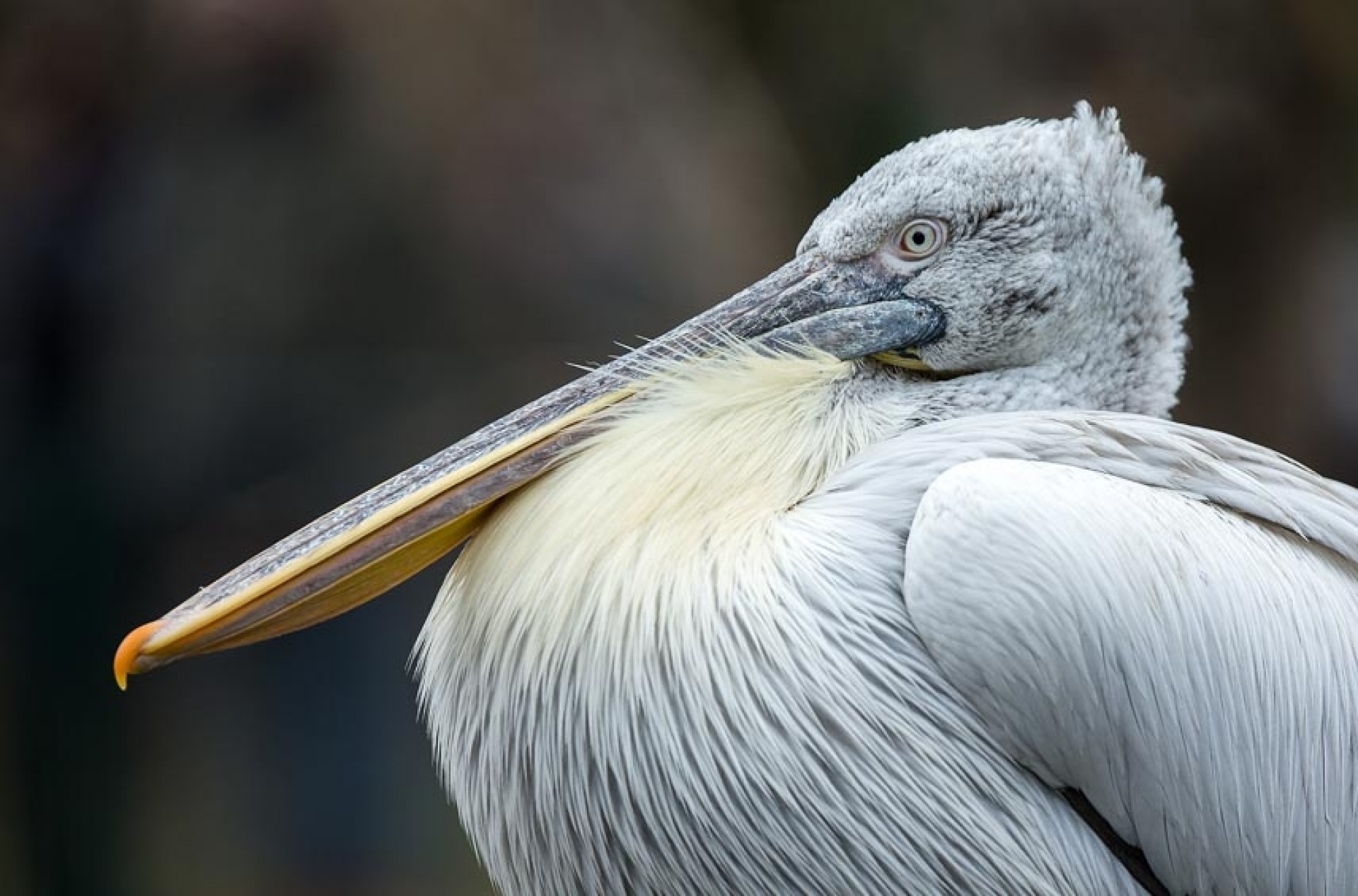 Tierfotografie in Theorie und Praxis - Canon Academy Natur-, Tier- und Makro