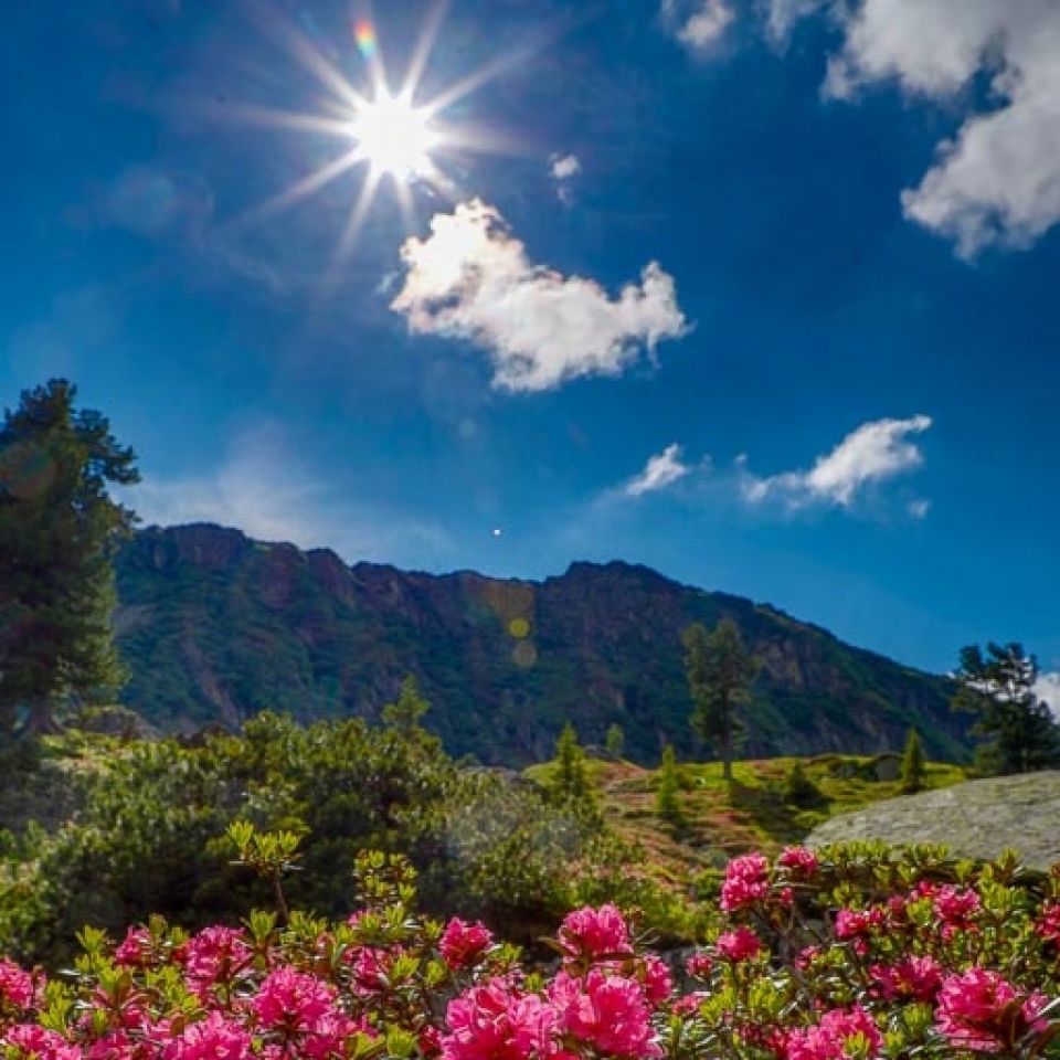 Fotoworkshop Ramsau - Canon Academy Natur-, Tier- und Makro